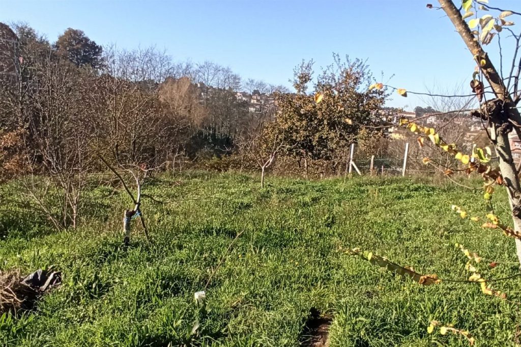 Parcela edificable en Bembrive, Vigo